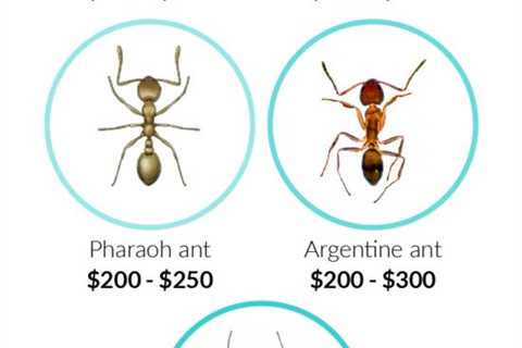 Carpenter Ant Extermination Cost: Factors Affecting The Price Of Removing Carpenter Ants