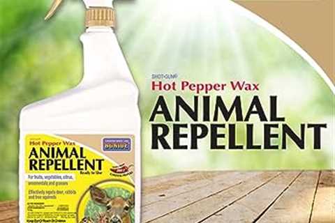 Miller Hot Sauce Animal Repellent: Spicy Defense For Your Garden And Yard