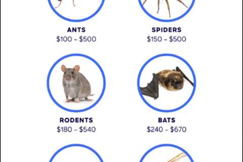 How Much Does Pest Control Roaches Cost?