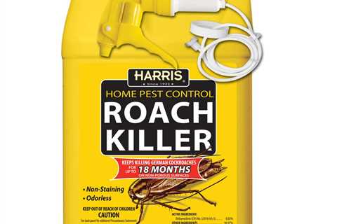 What Kills Roaches Overnight?