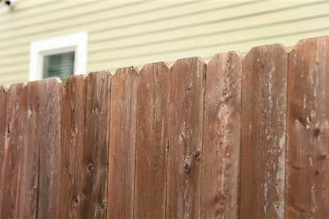 Selecting the Perfect Wood for Your Fence