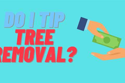 Do I Tip Tree Removal?