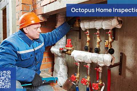 Standard post published to Octopus Home Inspections, LLC at September 03, 2023 20:00