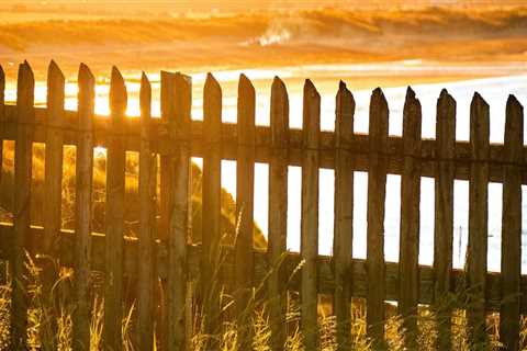 Transform Your Outdoor Space: How A Fence Contractor In Auckland Can Enhance Your Landscape