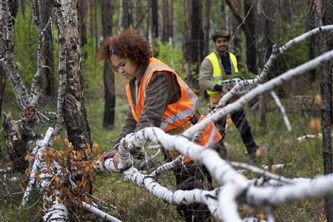 BEST PRACTICES FOR EMERGENCY TREE SERVICES