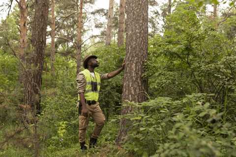 THE DANGERS OF NOT FOLLOWING SAFETY GUIDELINES DURING TREE SERVICES