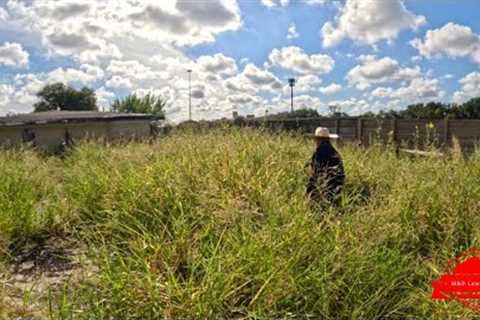 We Had To MOW Our WAY INTO This NIGHTMARE Of A Yard