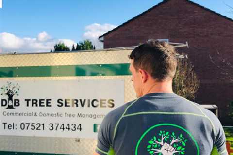 Tree Surgeon Llanfihangel