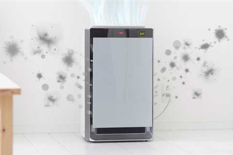 Do Air Purifiers Help With Mold?