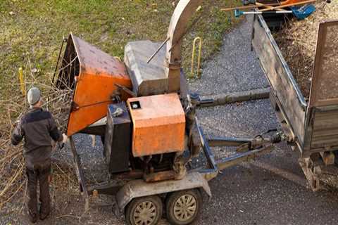 The Process of Disposing Tree Debris After a Removal in Fayetteville, Georgia