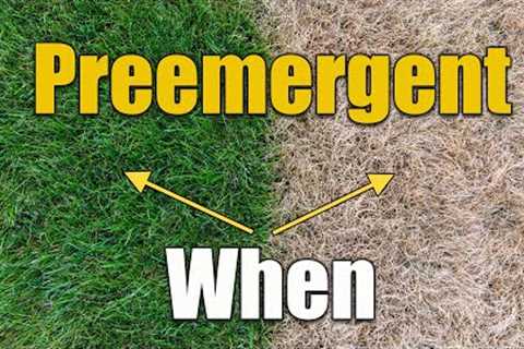 Fall Lawn Preemergent Treatment Winter Weeds