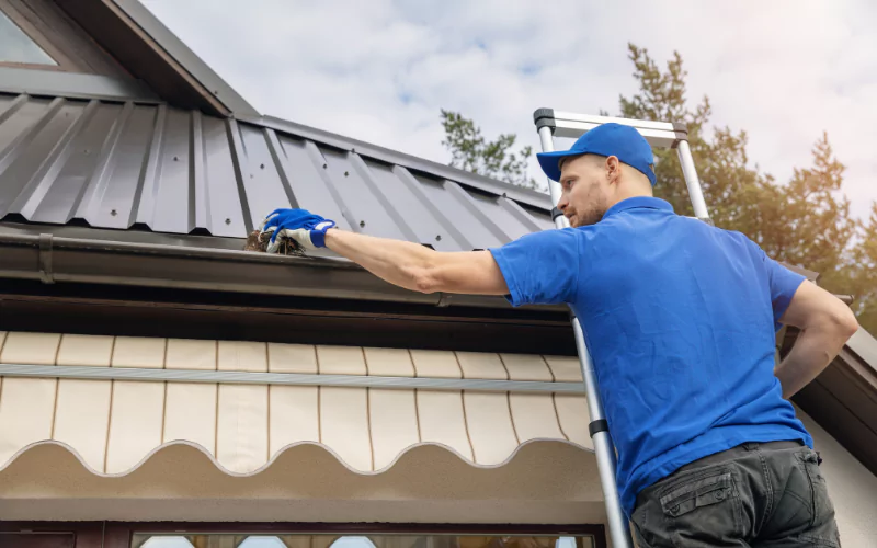 Gutter Cleaning Wellington, Florida