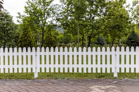 How to Keep Your Wood Fence Looking Brand New