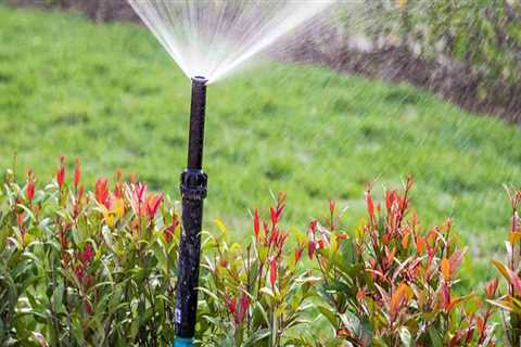 Top Tips For Efficient Lawn Sprinkler Maintenance For Optimal Tree Care In Pembroke Pines, FL