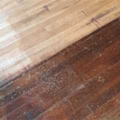 Where do hardwood floors come from?