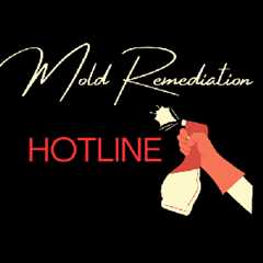 Mold Remediation Hotline Roswell GA : 