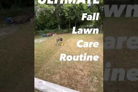 Ultimate FALL Lawn Care Routine: Scalping & Dethatching Grass #shorts #scalping #lawncare