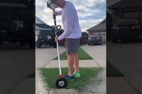 Oddly Satisfying Lawn care - Rotary Scissors on Bermudagrass