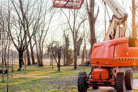 The Importance Of Professional Tree Care In Pembroke Pines And Incorporating Hardscaping In Your..