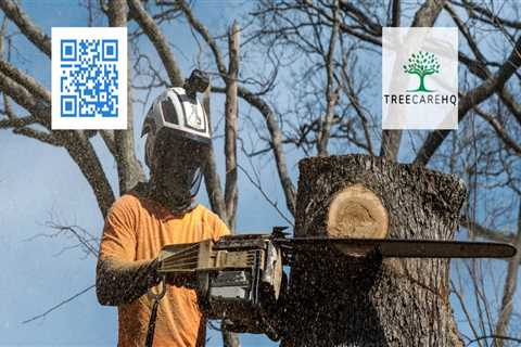 The Importance of References and Customer Reviews for St. Louis Arborist Services