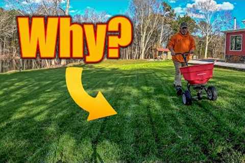 Should You Fertilize and Water a Lawn in the Winter