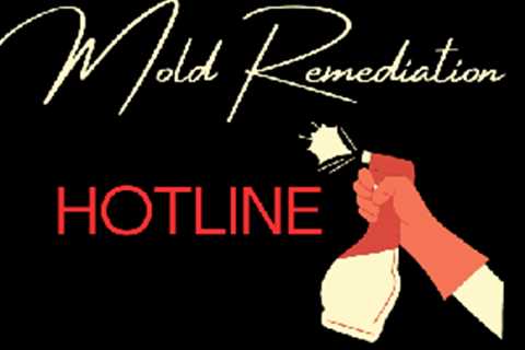 Mold Remediation Hotline Hollywood CA - companylistingnyc.com