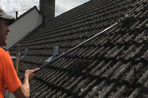 Roof Cleaning Hilton