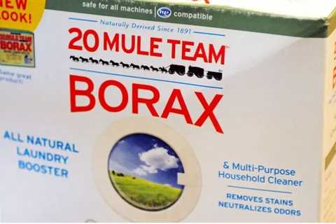 Borax Rodent Control: A Natural And Effective Solution For Handling Pests