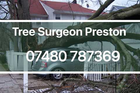 Tree Surgeon Medlar