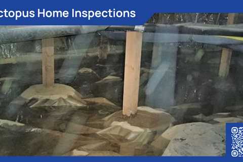 Standard post published to Octopus Home Inspections, LLC at January 22, 2024 20:00