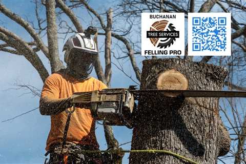 Buchanan Felling Pro - Grundy, Virginia - TreeCareHQ.com