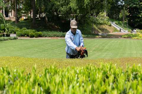 The Importance of Preparing Your Yard for Seasonal Tree Care Services