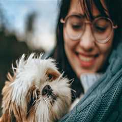 Keeping Your Pets Happy and Healthy: Veterinarians in Augusta, GA