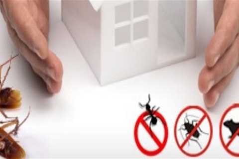 When to do pest control for home?