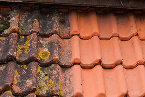 Roof Cleaning Corsham