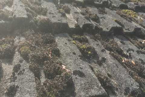 Roof Cleaning Dursley