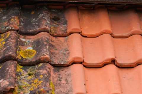 Roof Cleaning Marshfield