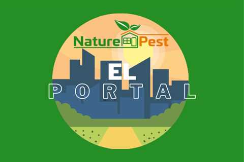 El Portal Pest Control | NaturePest Holistic Local Pest Control