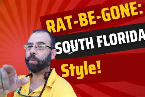 Top Strategy to Keep Rats Out of Your South Florida Attic!