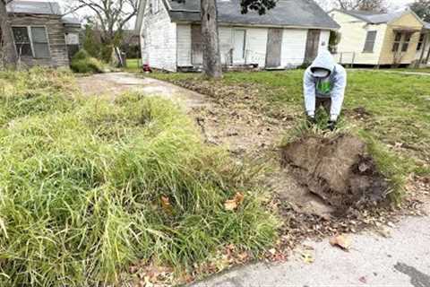 Home is PADLOCKED shut and the city GAVE UP on mowing it