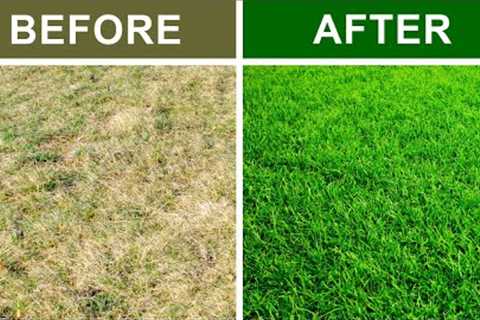 9 Secrets To Keep Your Lawn Green and Healthy