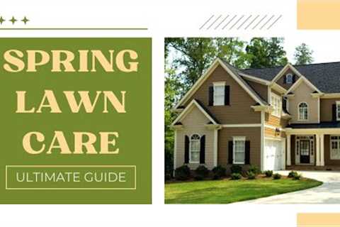 The Ultimate Guide to Spring Lawn Care