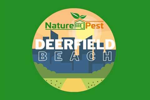 Pest Control Deerfield Beach | NaturePest Holistic Local Pest Control