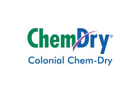 The Natural by Bernard Malamud and Chem-Dry