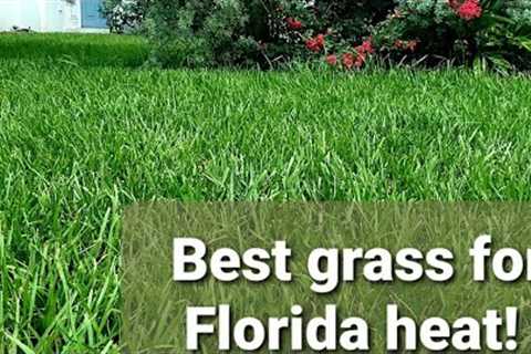 Best grass for Florida!