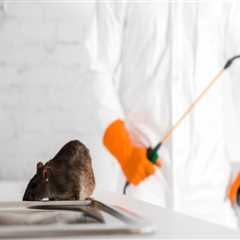 The Best Way To Get Rid Of Rodents Without Using Organic Pest Control In Montgomery
