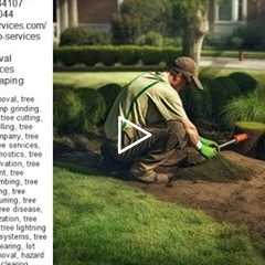 Family Tree Landscaping - Tree Services - Truco