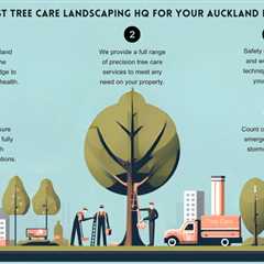 Why Choose Top Local Tree Care Experts?