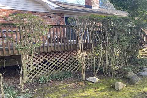 Makeover Monday: Pressure Treated Wood Deck in Fort Washington, Maryland