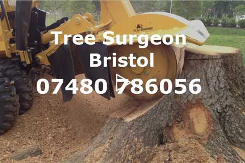 Tree Surgeon Bristol 24 hour Tree Surgery Stump Removal Root Removal & Other Tree Services